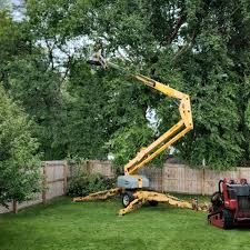 Best Seasonal Cleanup (Spring/Fall)  in Farmville, VA